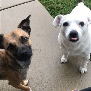 Meet your Posher, Breanna